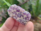 Natural Dark Amethyst Clusters x 70 From Mapatizya, Zambia - Toprock Gemstones and Minerals 
