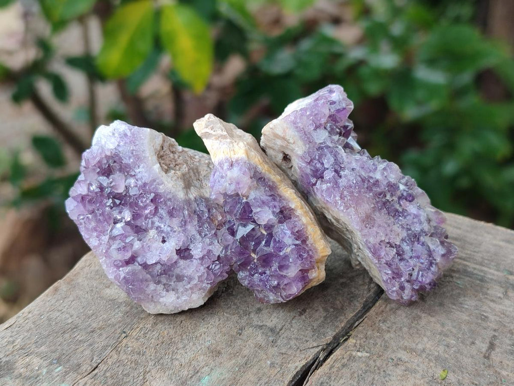 Natural Dark Amethyst Clusters x 70 From Mapatizya, Zambia - Toprock Gemstones and Minerals 
