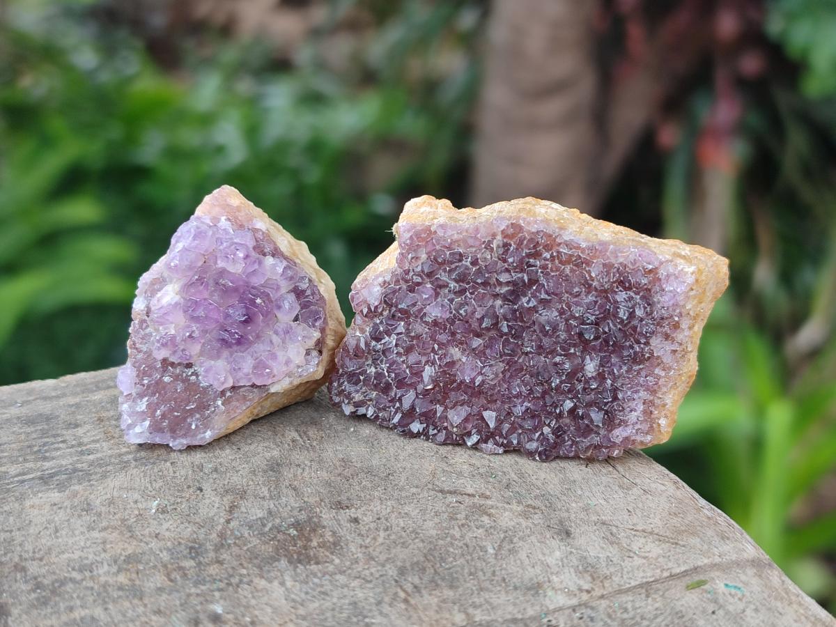 Natural Dark Amethyst Clusters x 70 From Mapatizya, Zambia - Toprock Gemstones and Minerals 