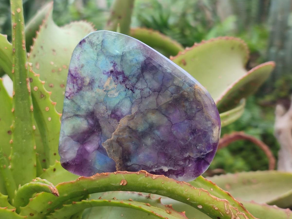 Polished Watermelon Fluorite Free Forms x 5 From Uis, Namibia - Toprock Gemstones and Minerals 