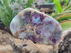 Polished Watermelon Fluorite Free Forms x 5 From Uis, Namibia - Toprock Gemstones and Minerals 