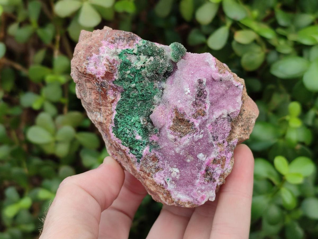 Natural Salrose Cobaltoan Dolomite Specimens with Crystalline Malachite Crystals x 3 From Kakanda, Congo - Toprock Gemstones and Minerals 