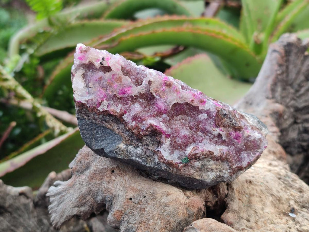 Natural Salrose Cobaltoan Dolomite Specimens with Crystalline Malachite Crystals x 3 From Kakanda, Congo - Toprock Gemstones and Minerals 