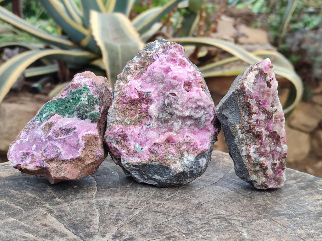Natural Salrose Cobaltoan Dolomite Specimens with Crystalline Malachite Crystals x 3 From Kakanda, Congo - Toprock Gemstones and Minerals 