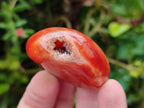 Polished Carnelian Agate Gemstone Galets x 20 From Madagascar - Toprock Gemstones and Minerals 