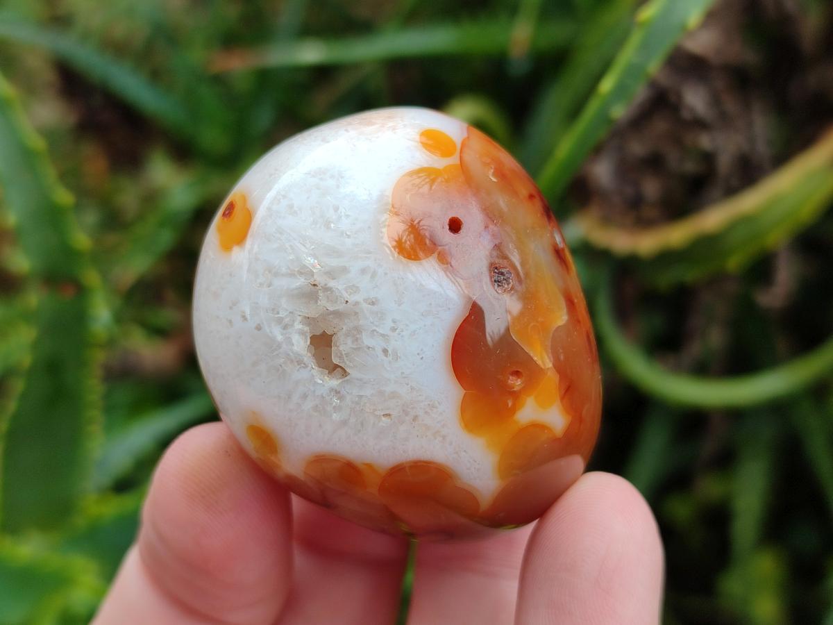 Polished Carnelian Agate Gemstone Galets x 20 From Madagascar - Toprock Gemstones and Minerals 