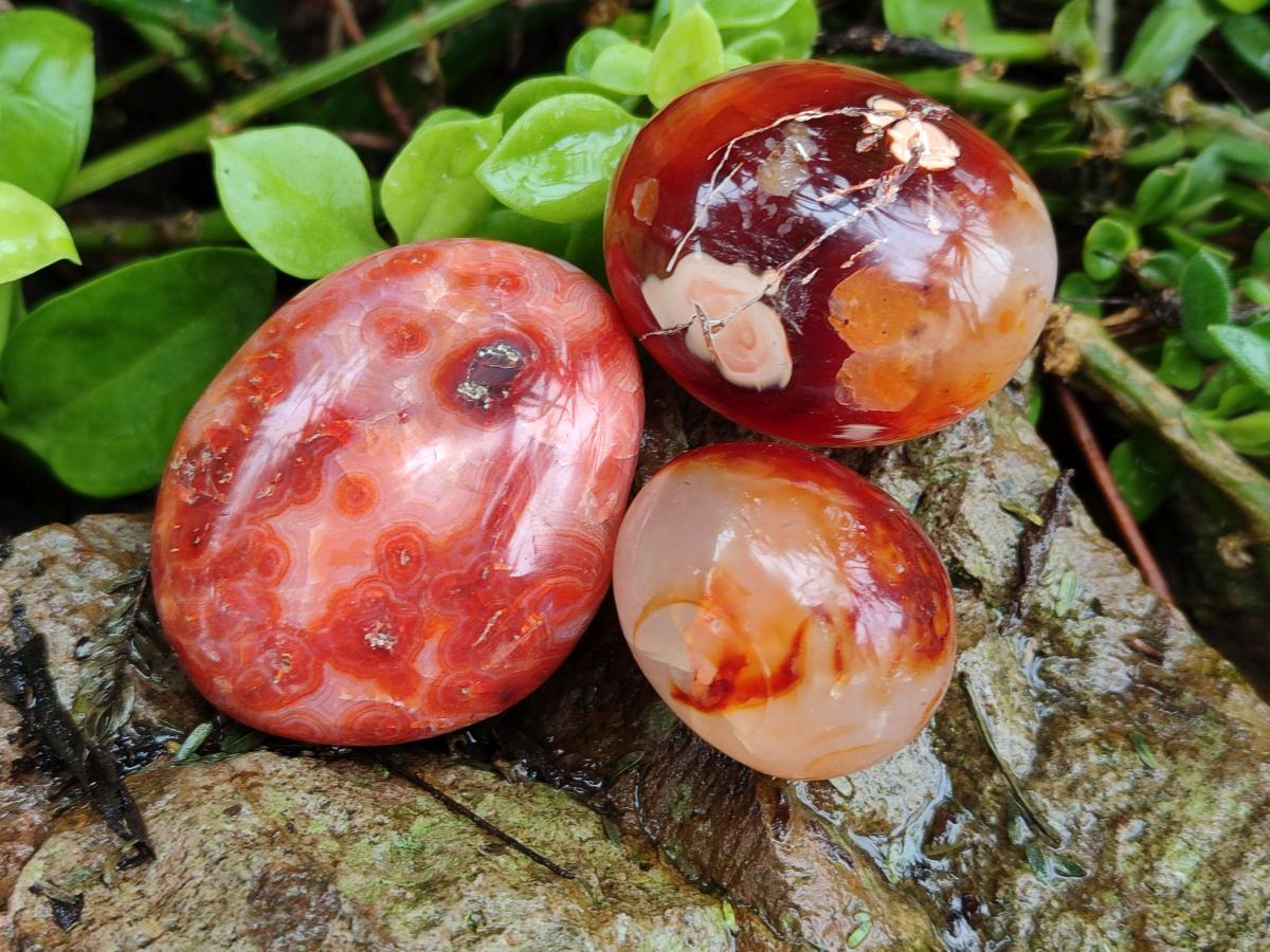 Polished Carnelian Agate Gemstone Galets x 20 From Madagascar - Toprock Gemstones and Minerals 