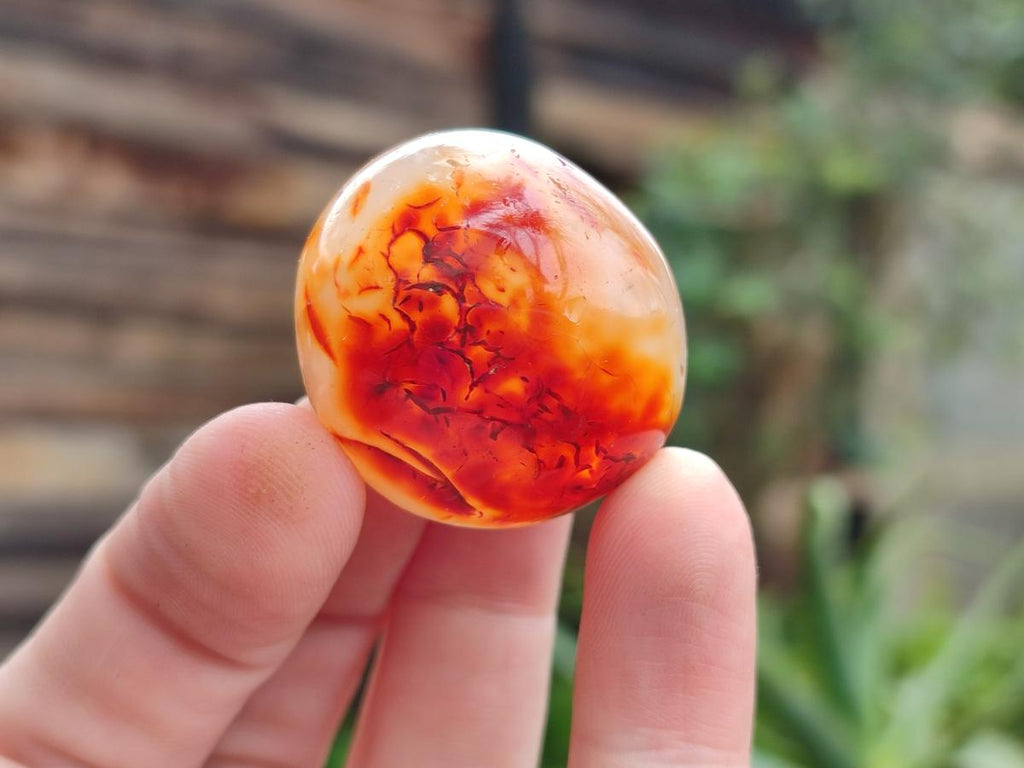 Polished Carnelian Agate Gemstone Galets x 20 From Madagascar - Toprock Gemstones and Minerals 