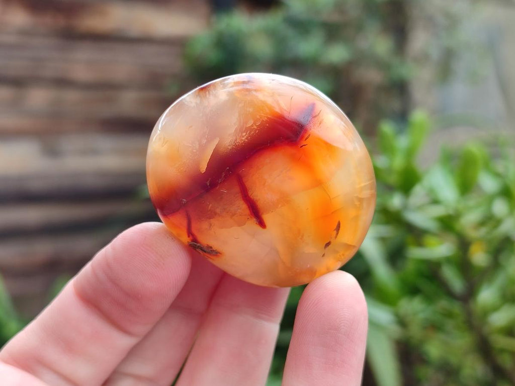 Polished Carnelian Agate Gemstone Galets x 20 From Madagascar - Toprock Gemstones and Minerals 