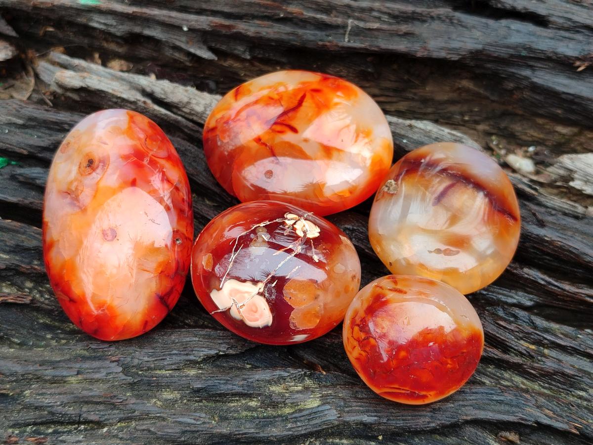 Polished Carnelian Agate Gemstone Galets x 20 From Madagascar - Toprock Gemstones and Minerals 