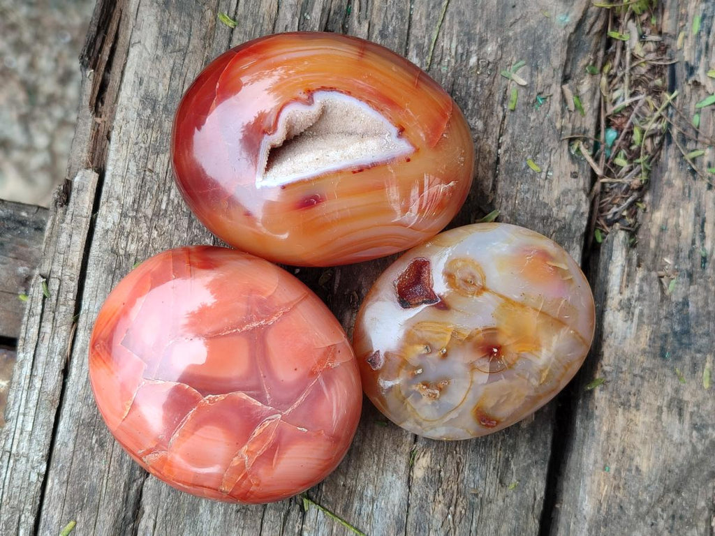 Polished Carnelian Agate Gemstone Galets x 20 From Madagascar - Toprock Gemstones and Minerals 