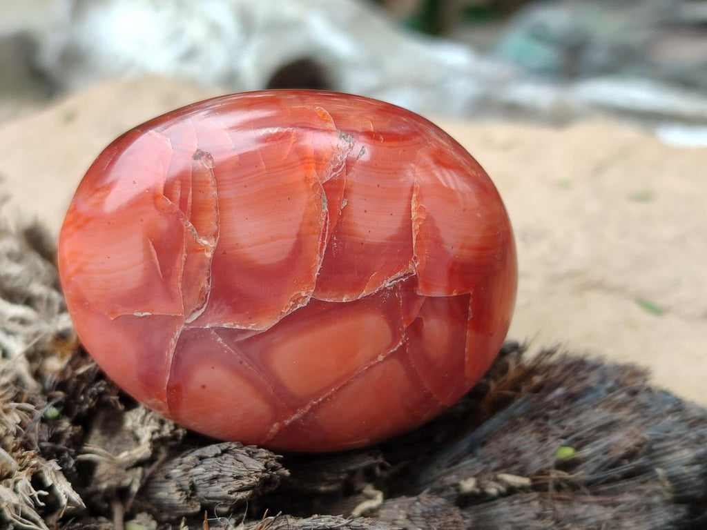 Polished Carnelian Agate Gemstone Galets x 20 From Madagascar - Toprock Gemstones and Minerals 