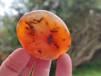 Polished Carnelian Agate Gemstone Galets x 20 From Madagascar - Toprock Gemstones and Minerals 
