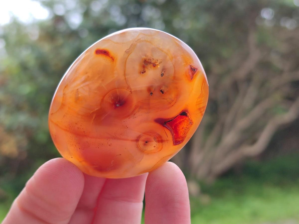 Polished Carnelian Agate Gemstone Galets x 20 From Madagascar - Toprock Gemstones and Minerals 