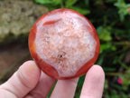 Polished Carnelian Agate Gemstone Galets x 20 From Madagascar - Toprock Gemstones and Minerals 