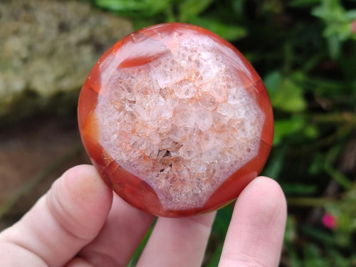Polished Carnelian Agate Gemstone Galets x 20 From Madagascar - Toprock Gemstones and Minerals 
