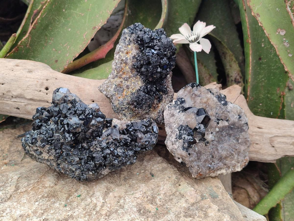 Natural Schorl Black Tourmaline with Feldspar Specimens x 3 From Erongo, Namibia - Toprock Gemstones and Minerals 