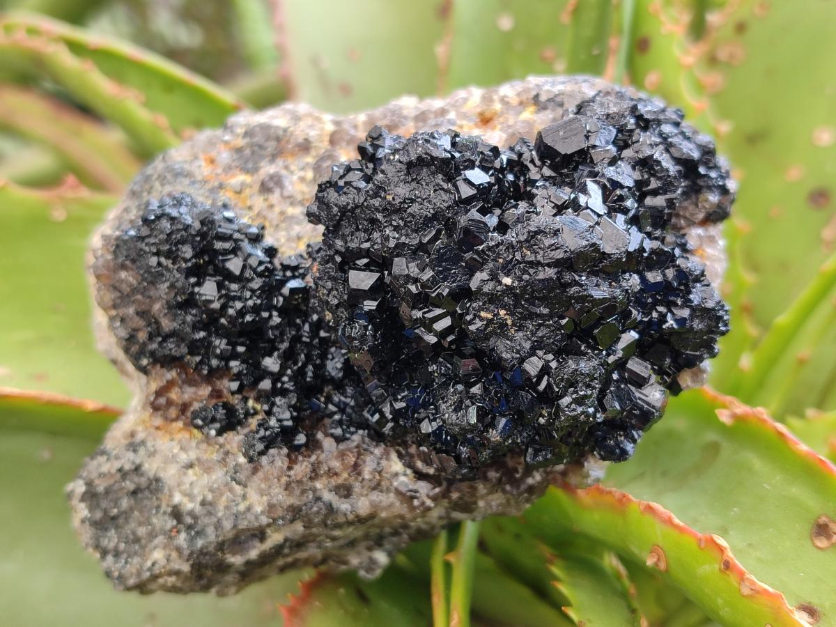 Natural Schorl Black Tourmaline with Feldspar Specimens x 3 From Erongo, Namibia - Toprock Gemstones and Minerals 