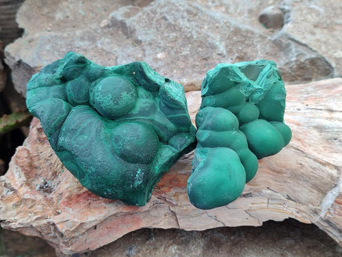 Natural Botryoidal Malachite Specimens x 6 From Congo - Toprock Gemstones and Minerals 