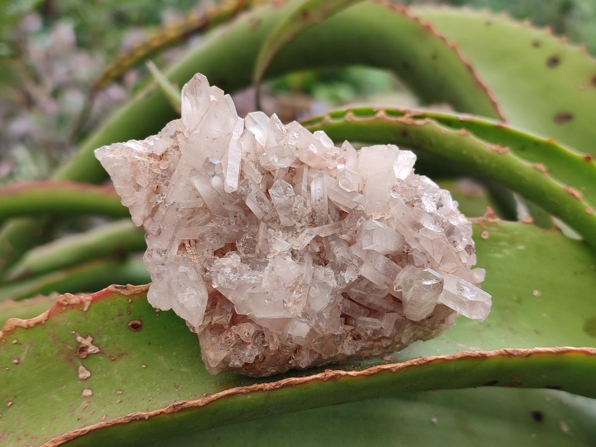 Natural Malagasy Quartz Clusters x 12 From Madagascar - Toprock Gemstones and Minerals 