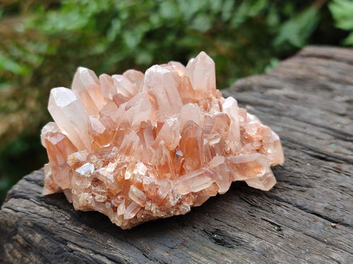 Natural Malagasy Quartz Clusters x 12 From Madagascar - Toprock Gemstones and Minerals 