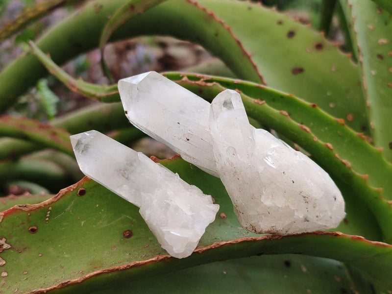 Natural Malagasy Quartz Clusters x 12 From Madagascar - Toprock Gemstones and Minerals 