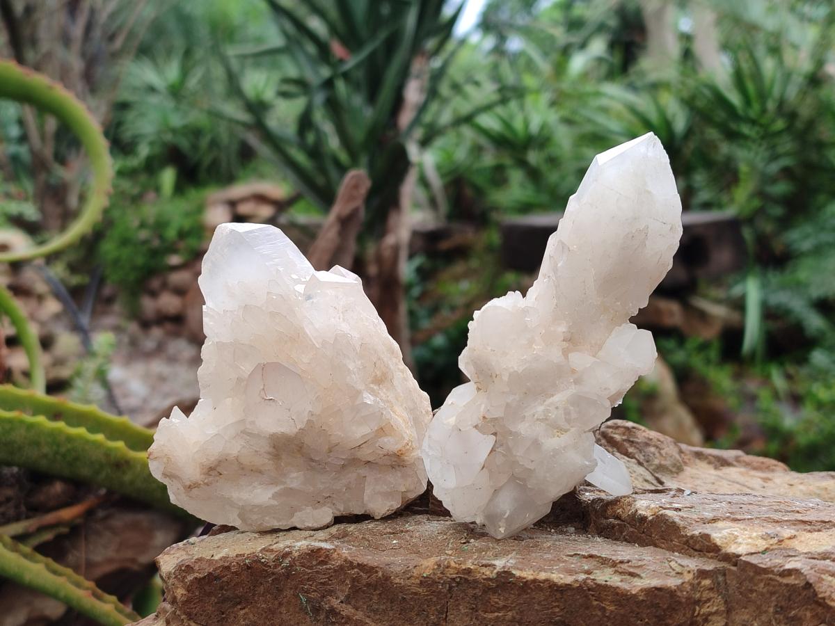 Natural Malagasy Quartz Clusters x 12 From Madagascar - Toprock Gemstones and Minerals 