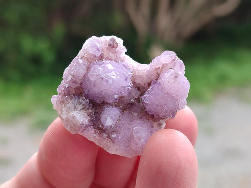 Natural Spirit Amethyst Crystals x 120 From Boekenhouthoek, South Africa - Toprock Gemstones and Minerals 