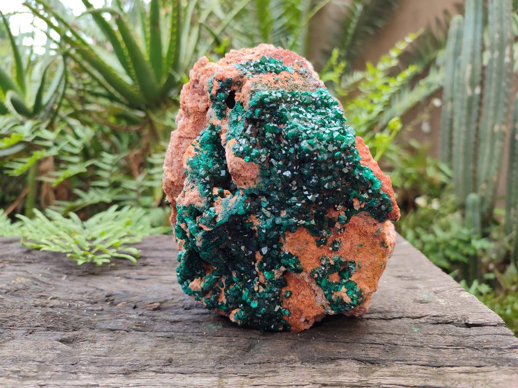 Natural Dioptase on Dolomite Specimen x 1 From Likasi, Congo - Toprock Gemstones and Minerals 