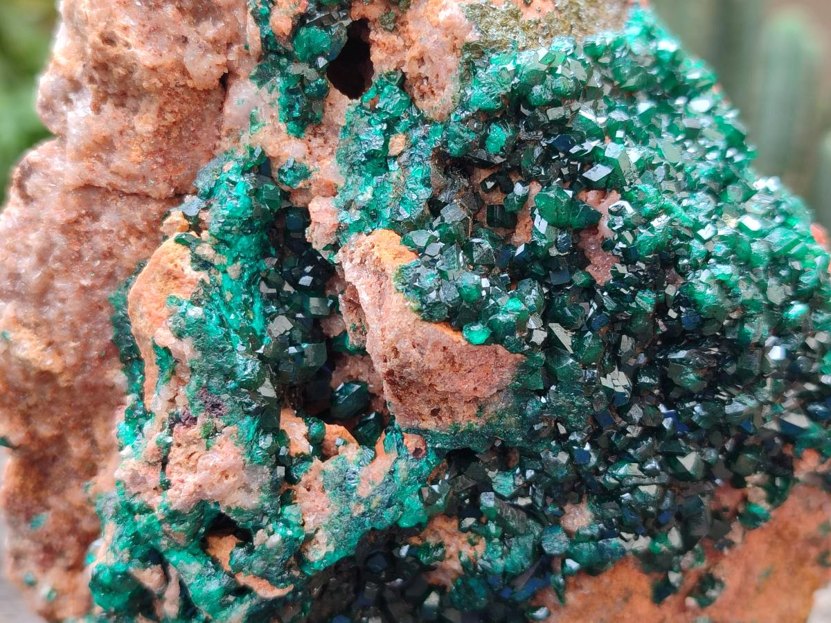 Natural Dioptase on Dolomite Specimen x 1 From Likasi, Congo - Toprock Gemstones and Minerals 
