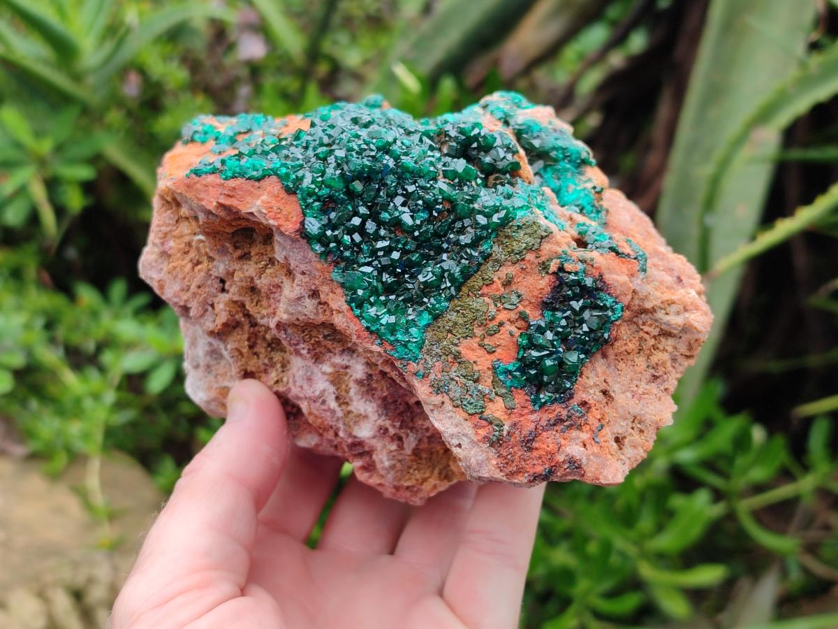 Natural Dioptase on Dolomite Specimen x 1 From Likasi, Congo - Toprock Gemstones and Minerals 
