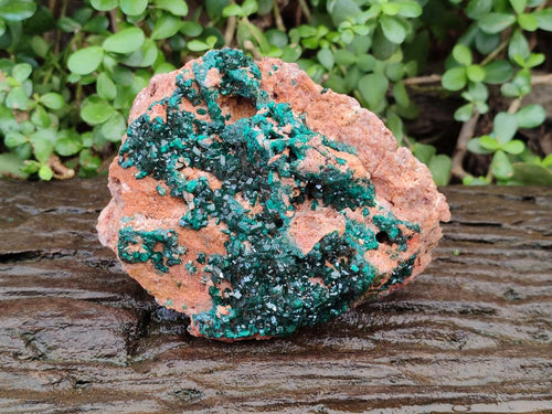 Natural Dioptase on Dolomite Specimen x 1 From Likasi, Congo - Toprock Gemstones and Minerals 