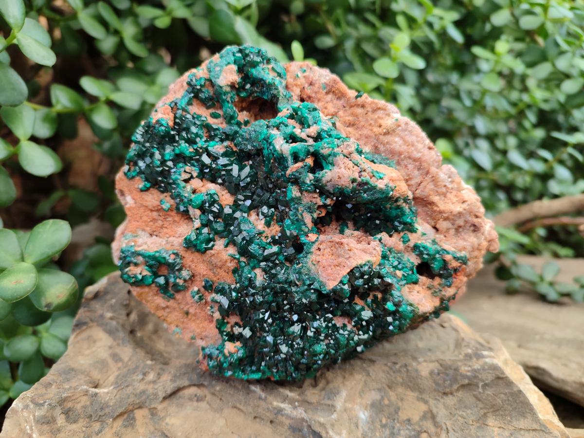 Natural Dioptase on Dolomite Specimen x 1 From Likasi, Congo - Toprock Gemstones and Minerals 
