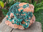 Natural Dioptase on Dolomite Specimen x 1 From Likasi, Congo - Toprock Gemstones and Minerals 