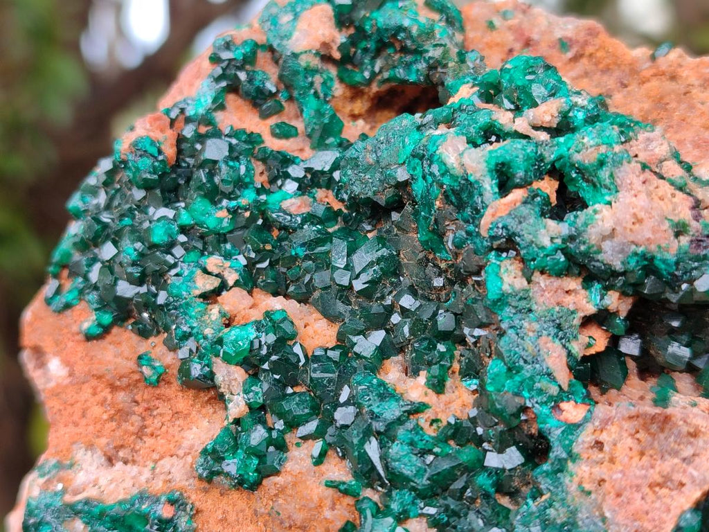 Natural Dioptase on Dolomite Specimen x 1 From Likasi, Congo - Toprock Gemstones and Minerals 