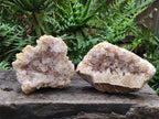 Natural Pale Amethyst Clusters x 2 From Zambia - Toprock Gemstones and Minerals 
