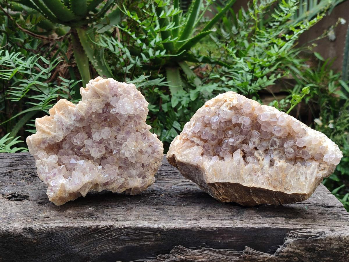 Natural Pale Amethyst Clusters x 2 From Zambia - Toprock Gemstones and Minerals 