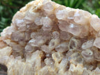 Natural Pale Amethyst Clusters x 2 From Zambia - Toprock Gemstones and Minerals 