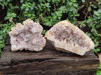 Natural Pale Amethyst Clusters x 2 From Zambia - Toprock Gemstones and Minerals 