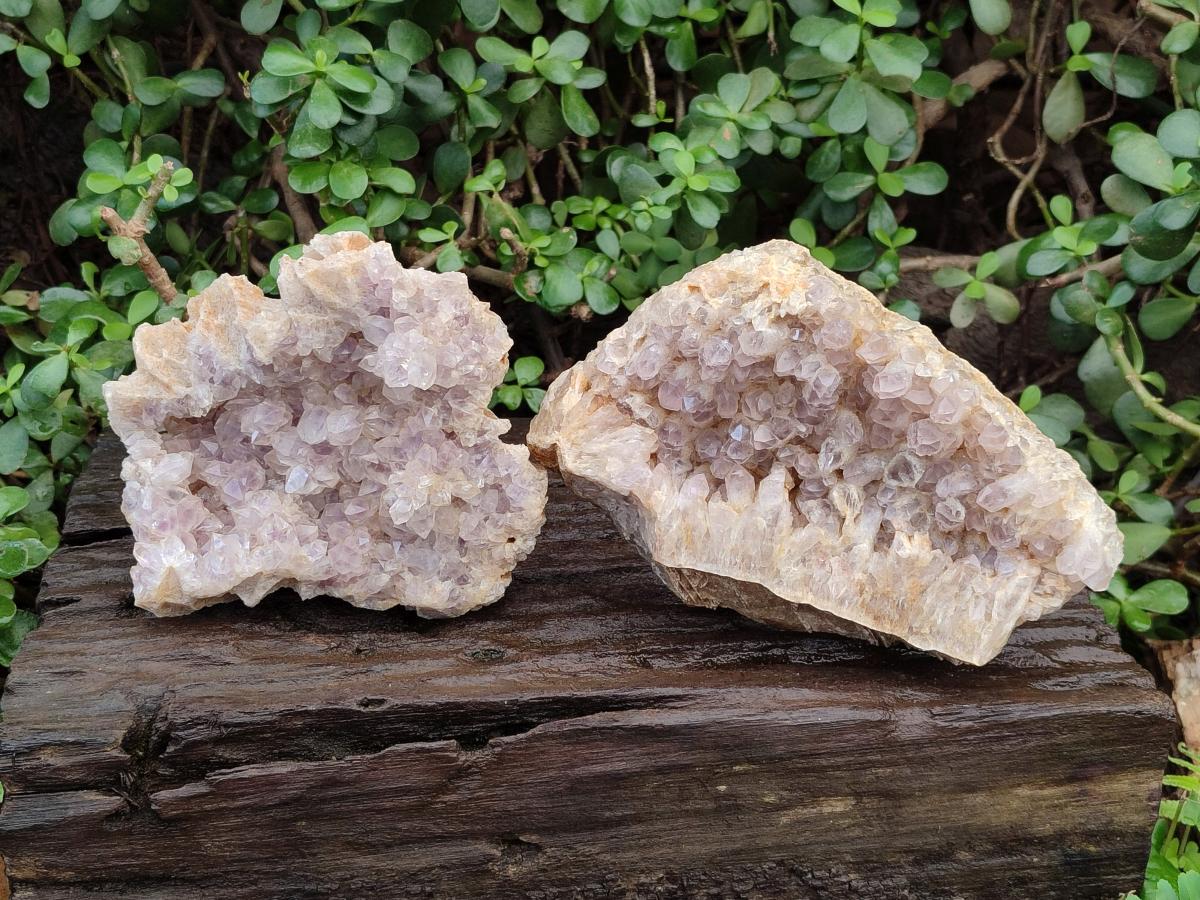 Natural Pale Amethyst Clusters x 2 From Zambia - Toprock Gemstones and Minerals 
