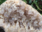 Natural Pale Amethyst Clusters x 2 From Zambia - Toprock Gemstones and Minerals 