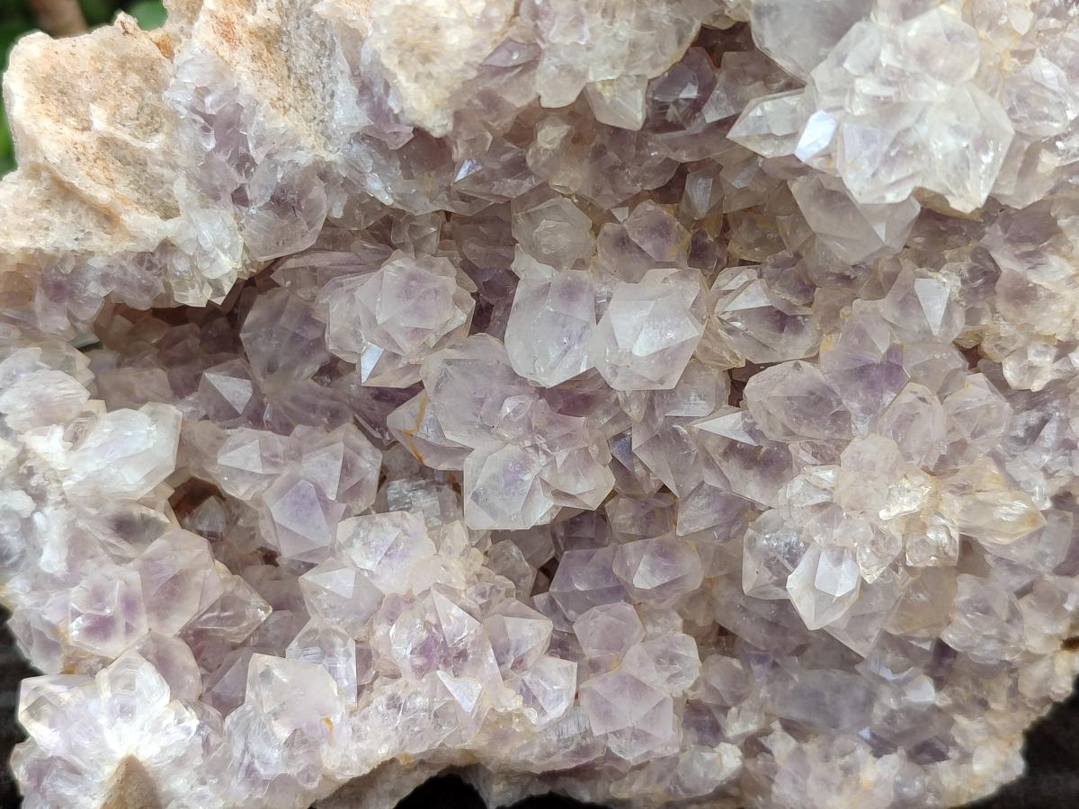 Natural Pale Amethyst Clusters x 2 From Zambia - Toprock Gemstones and Minerals 