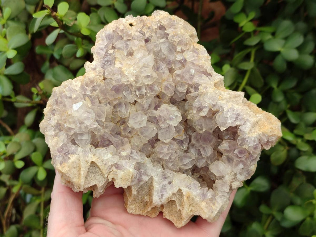 Natural Pale Amethyst Clusters x 2 From Zambia - Toprock Gemstones and Minerals 