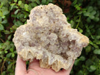Natural Pale Amethyst Clusters x 2 From Zambia - Toprock Gemstones and Minerals 