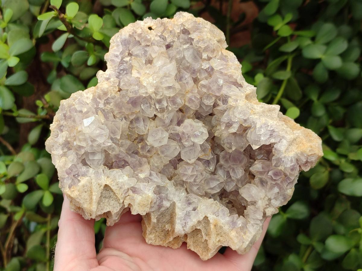 Natural Pale Amethyst Clusters x 2 From Zambia - Toprock Gemstones and Minerals 