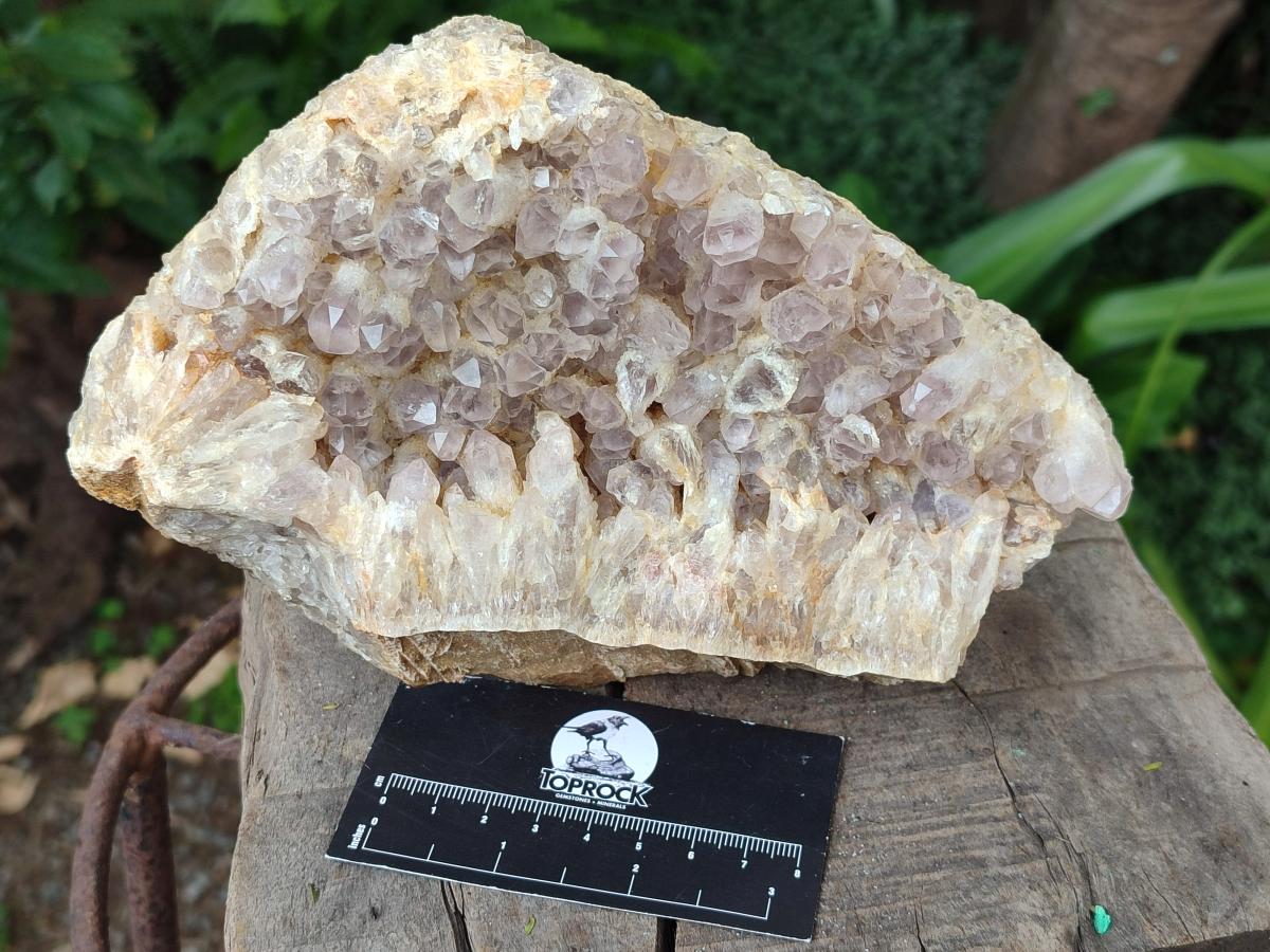 Natural Pale Amethyst Clusters x 2 From Zambia - Toprock Gemstones and Minerals 