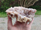 Natural Pale Amethyst Clusters x 2 From Zambia - Toprock Gemstones and Minerals 