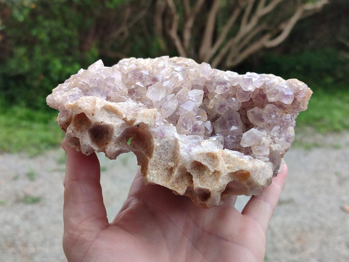 Natural Pale Amethyst Clusters x 2 From Zambia - Toprock Gemstones and Minerals 