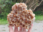 Natural Pale Amethyst Clusters x 2 From Zambia - Toprock Gemstones and Minerals 