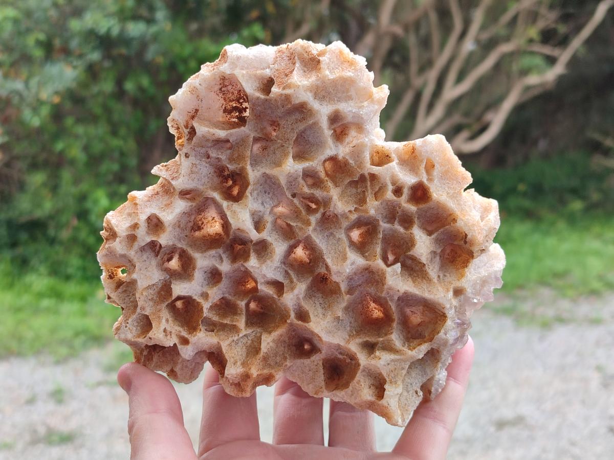Natural Pale Amethyst Clusters x 2 From Zambia - Toprock Gemstones and Minerals 